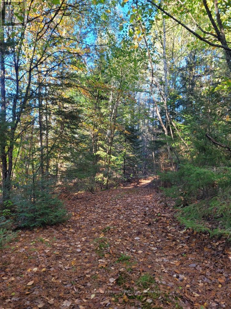 Pt Lt 33 Con 5 Hummel Line, Powassan, Ontario  P0H 1Z0 - Photo 15 - X12136395