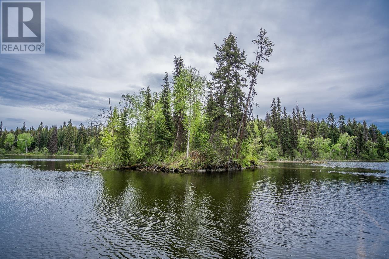 Lot 11 N Bridge Lake Road, Bridge Lake, British Columbia  V0K 1X2 - Photo 33 - R3010364
