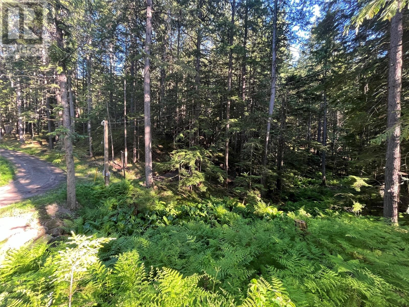 769 Beech Road, Nakusp, British Columbia  V0G 1R1 - Photo 16 - 10349896