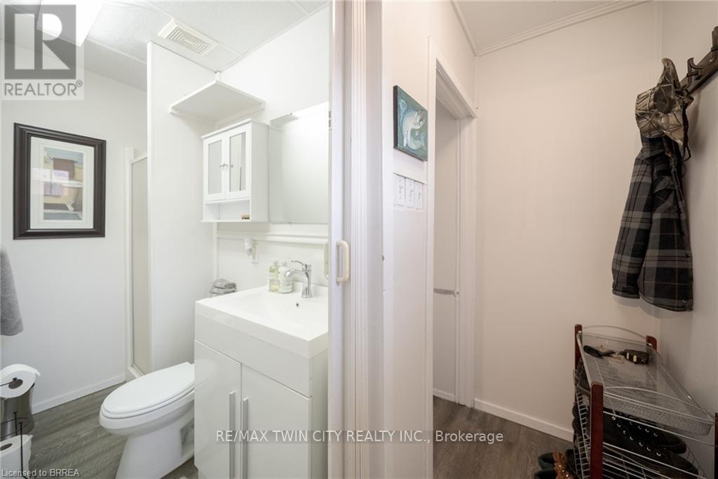141 Elgin Street, Brantford, Ontario  N3S 5A4 - Photo 24 - X12190933