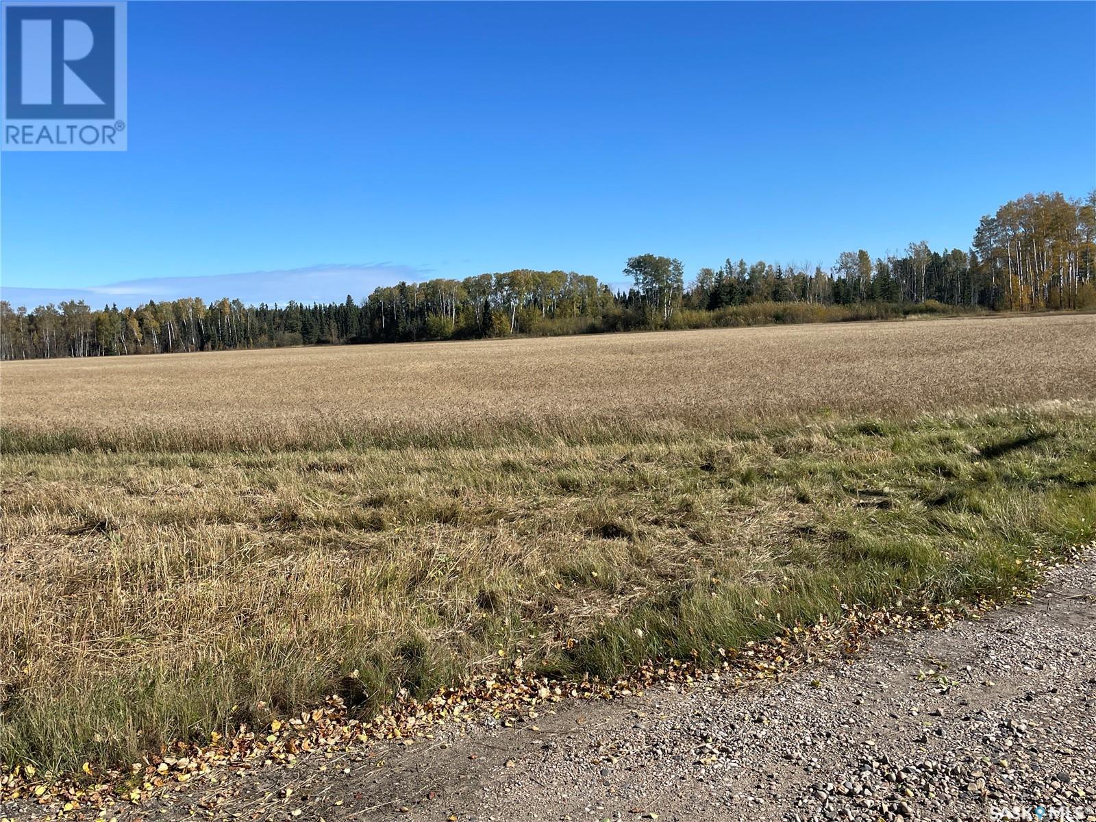 Morton Land 38.97 Acres, Hudson Bay Rm No. 394, Saskatchewan  S0E 0Y0 - Photo 8 - SK008072