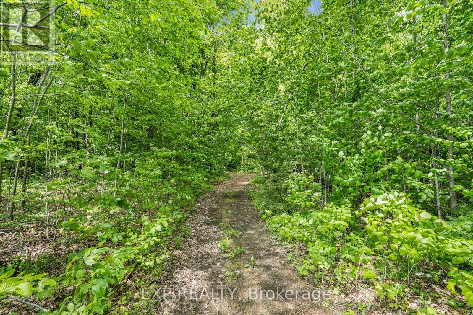 3057 Henrie Road, Clarence-Rockland, Ontario  K0A 3N0 - Photo 44 - X12191152