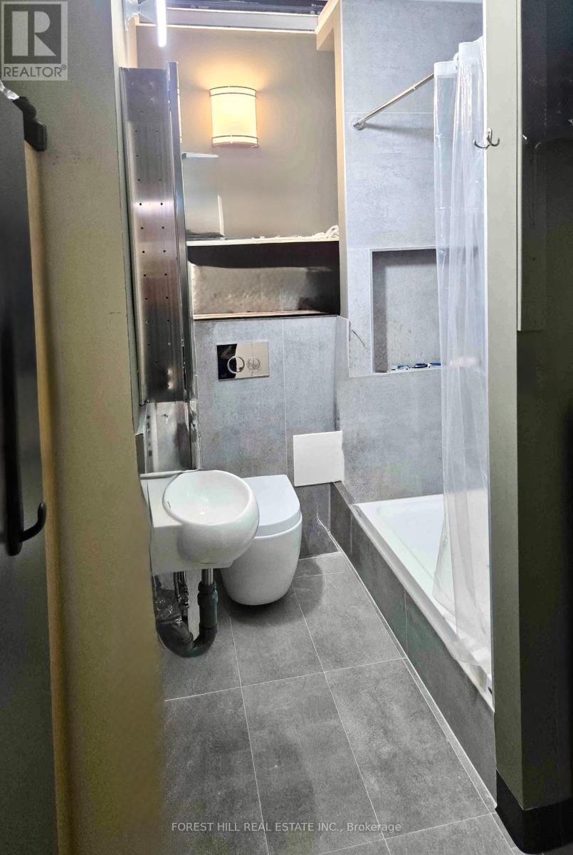 313 - 15 Wellesley Street W, Toronto, Ontario  M4Y 0G7 - Photo 3 - C12191121
