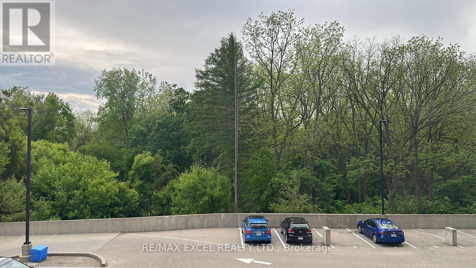315 - 1235 Richmond Street, London East, Ontario  N6A 0C1 - Photo 6 - X12190419