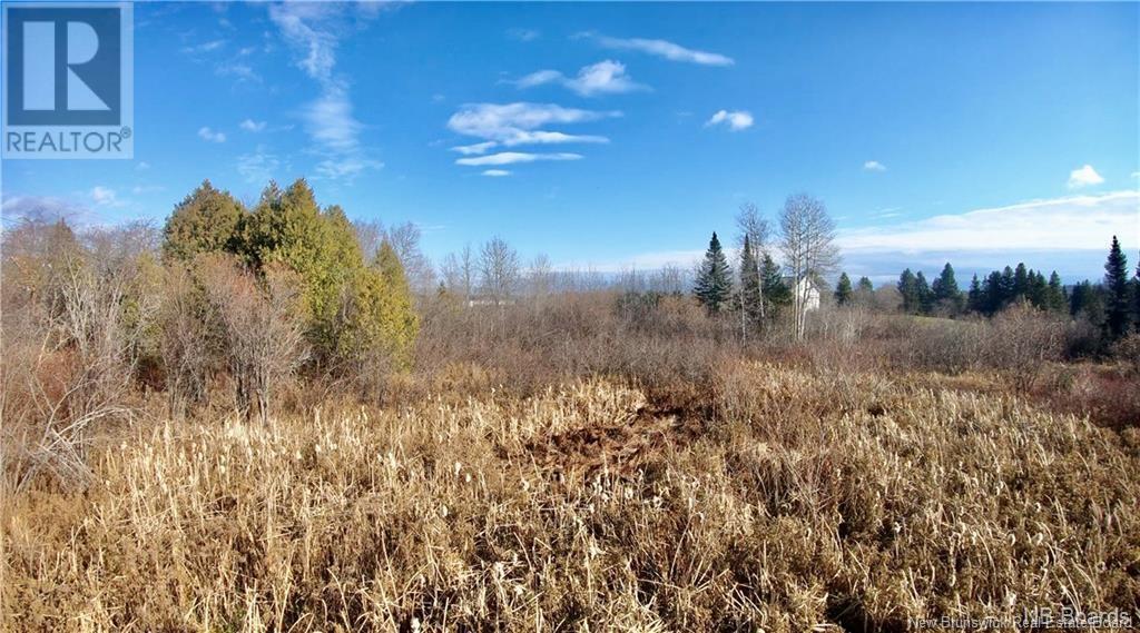 Ave Des Pionniers, Balmoral, New Brunswick  E8E 1P6 - Photo 6 - NB119835