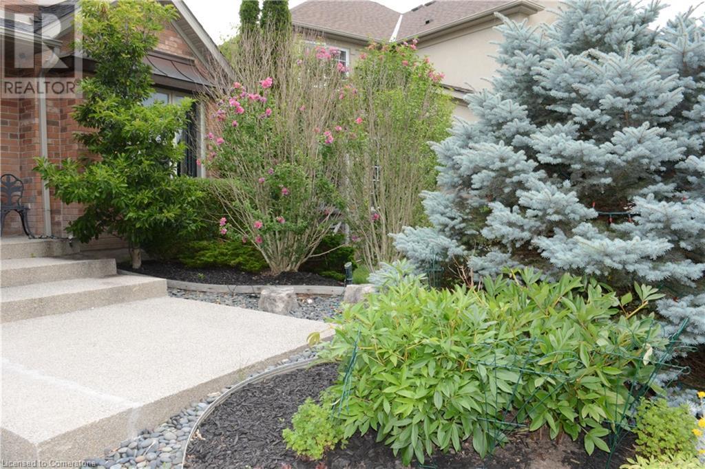 Property at 862 CREEKSIDE Drive image 2