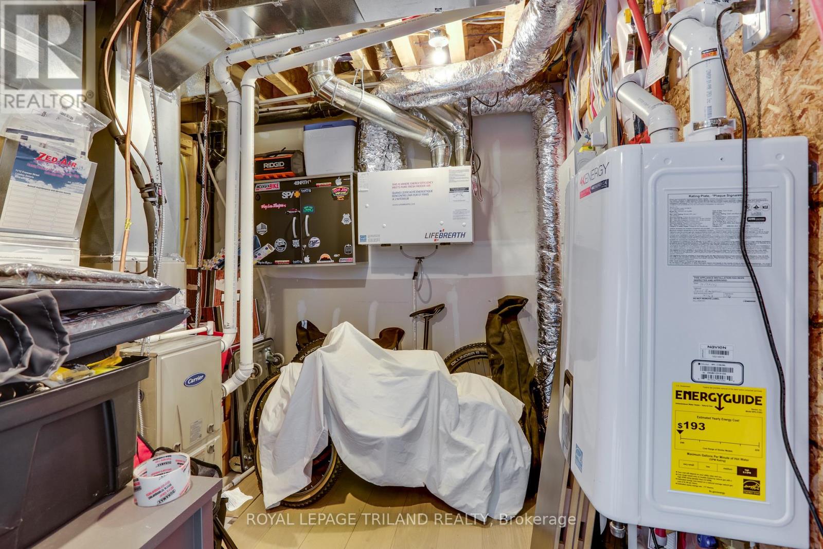 Photo 11 of 50 for 3535 Emily Carr Lane