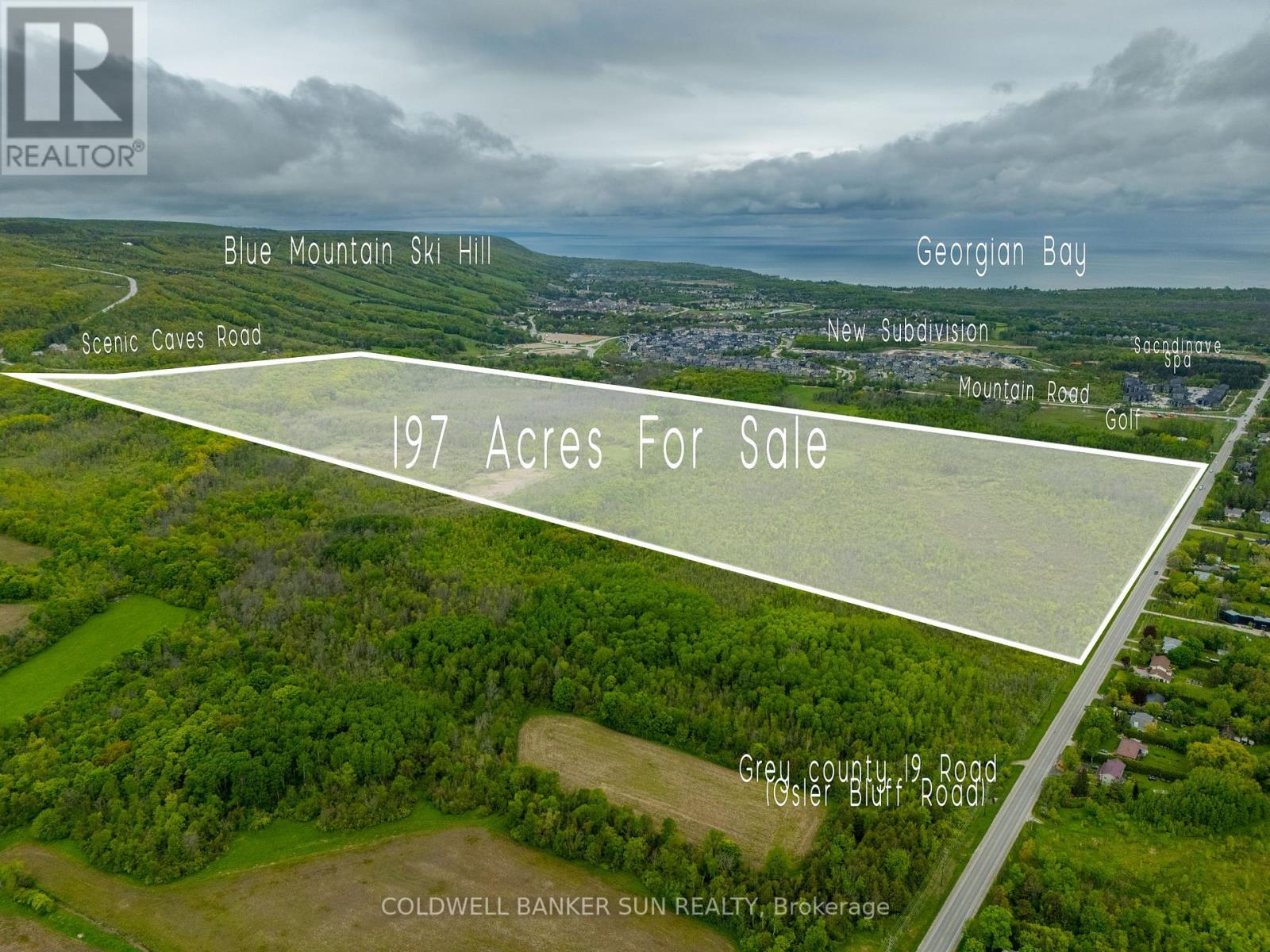 000 Grey County 19 Road, Blue Mountains, Ontario  L9Y 0N5 - Photo 1 - X12188849