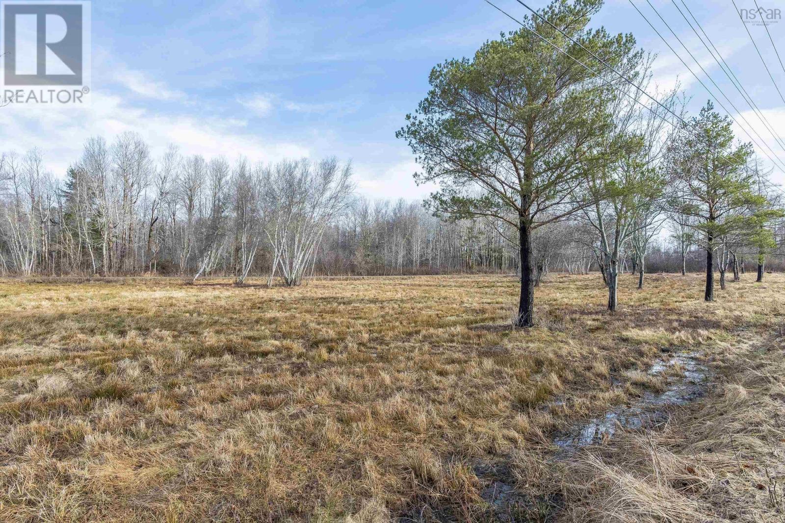 Lot Highway 201, Centrelea, Nova Scotia  B0S 1C0 - Photo 11 - 202507155