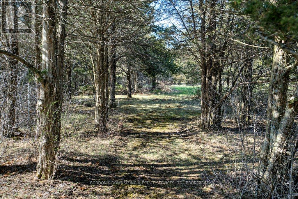 272 Beechwood Road, Greater Napanee (Greater Napanee), Ontario  K7R 3L1 - Photo 41 - X12191706