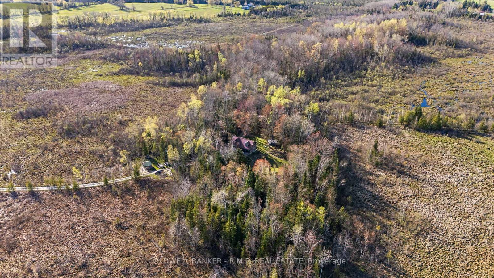 9136 Ravenshoe Road, Georgina (Baldwin), Ontario  L9P 1R2 - Photo 31 - N12147020
