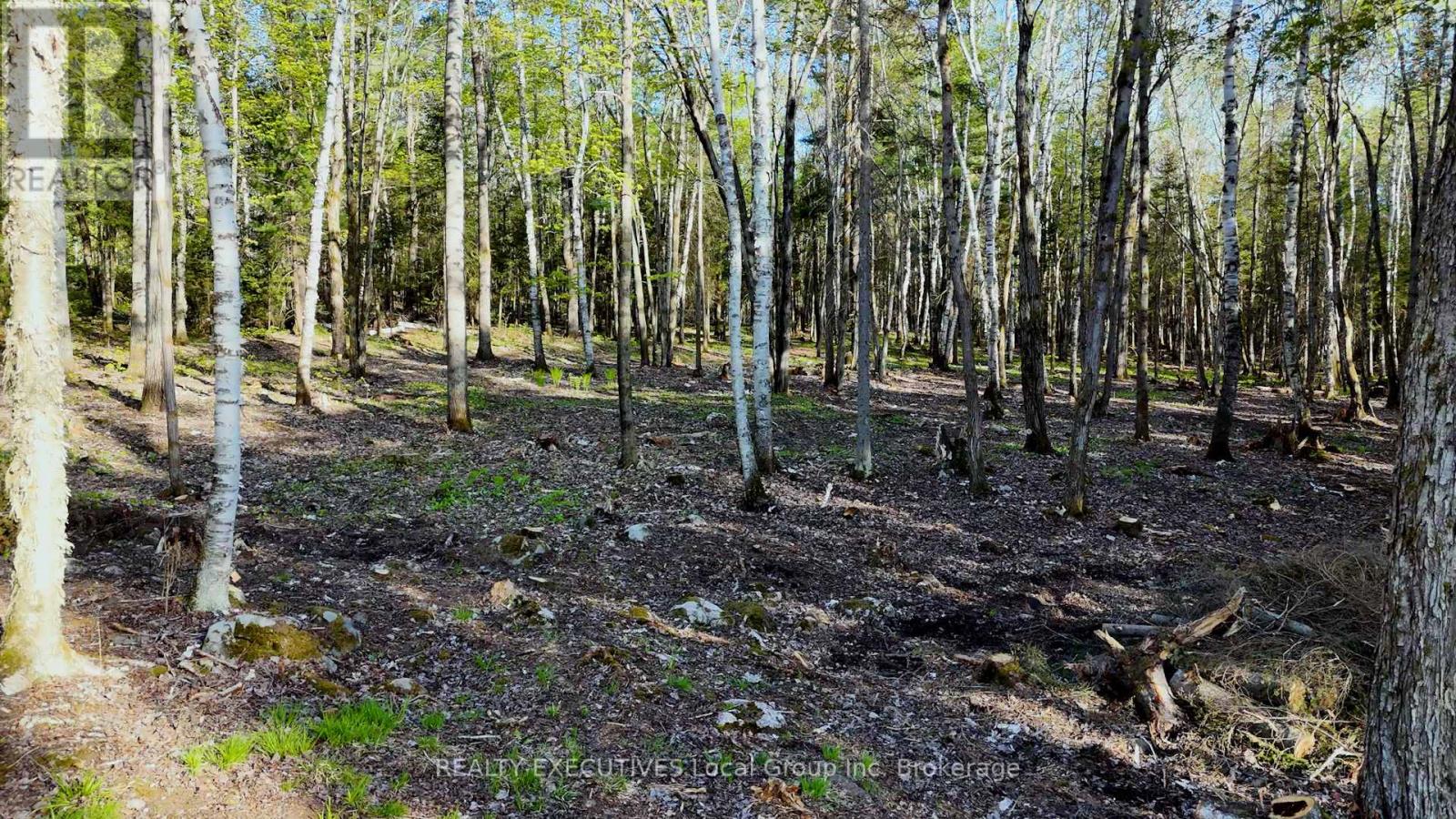 Part 3 Lot 10 Lindquist Line, Powassan, Ontario  P0H 1Z0 - Photo 7 - X12191744