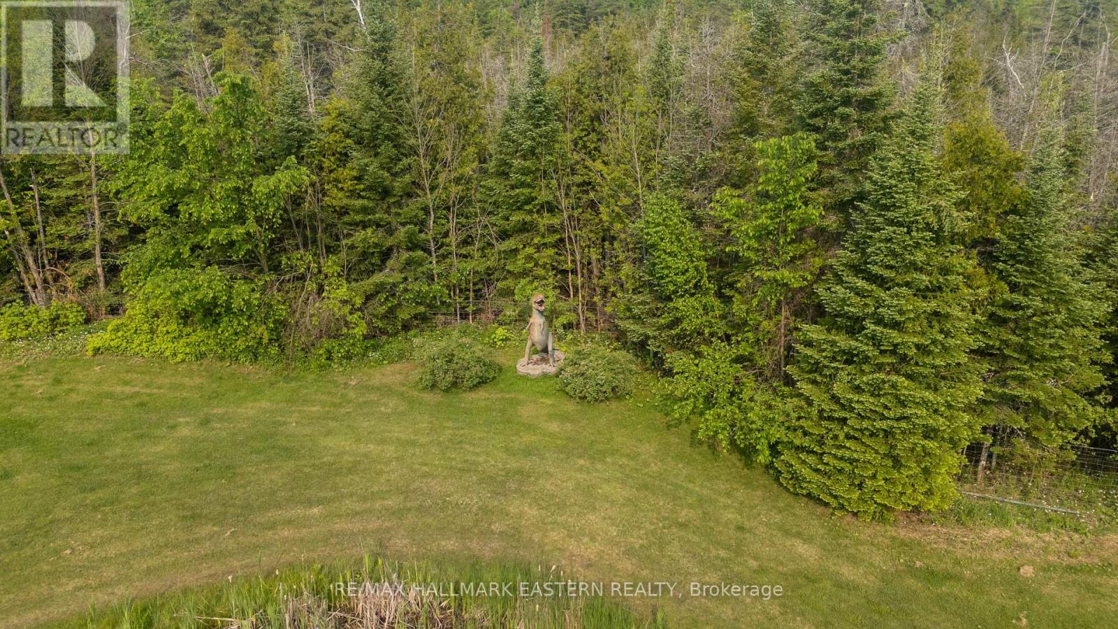 4075 County Road 44, Havelock-Belmont-Methuen, Ontario  K0L 1Z0 - Photo 42 - X12175391