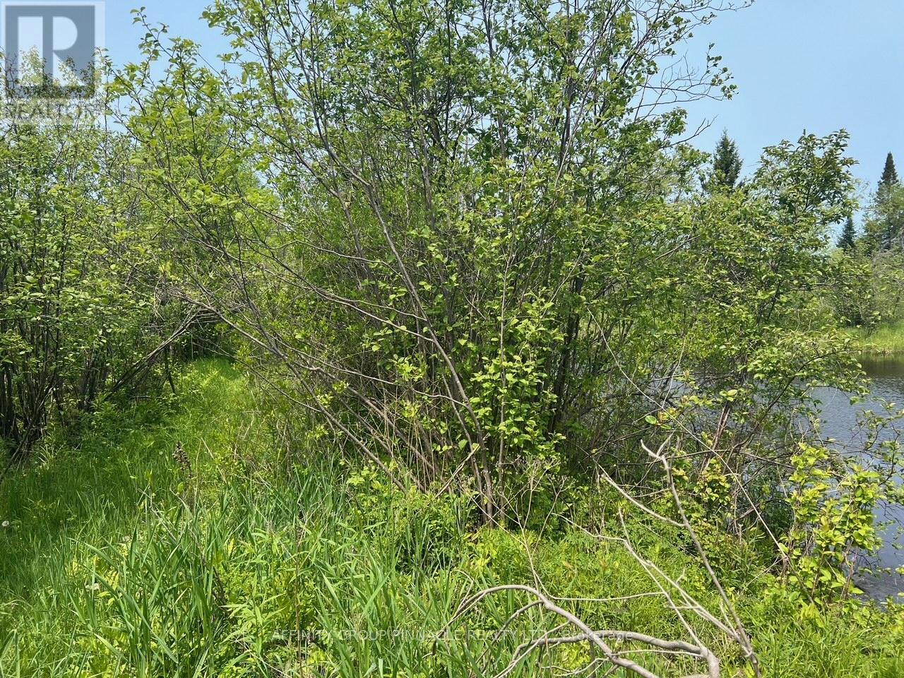 0 Trout Creek Lane, Bancroft, Ontario  K0L 1C0 - Photo 3 - X12191988