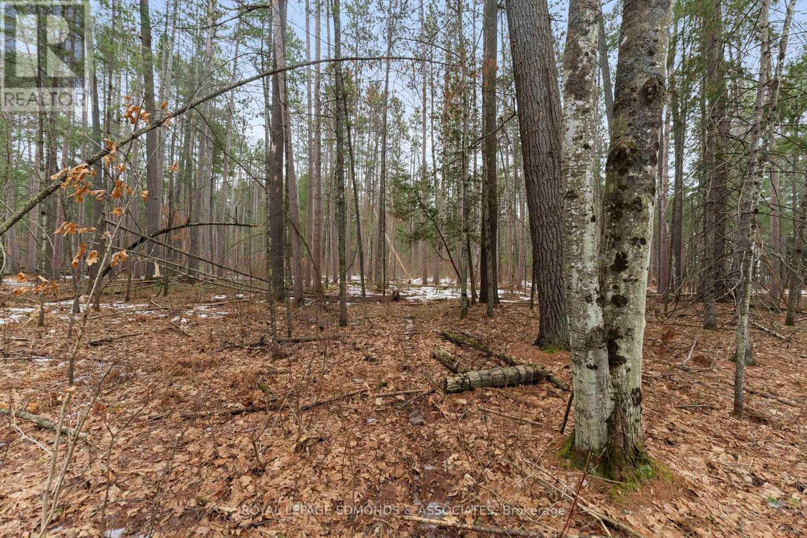 Pt 1 Lake Dore Road, North Algona Wilberforce, Ontario  K0J 1X0 - Photo 12 - X12037944