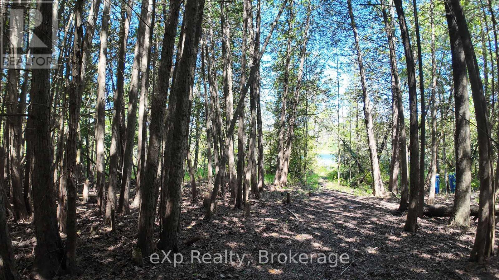 Ptlt 17 Westfall Crescent, West Grey, Ontario  N0G 2J0 - Photo 10 - X12192115