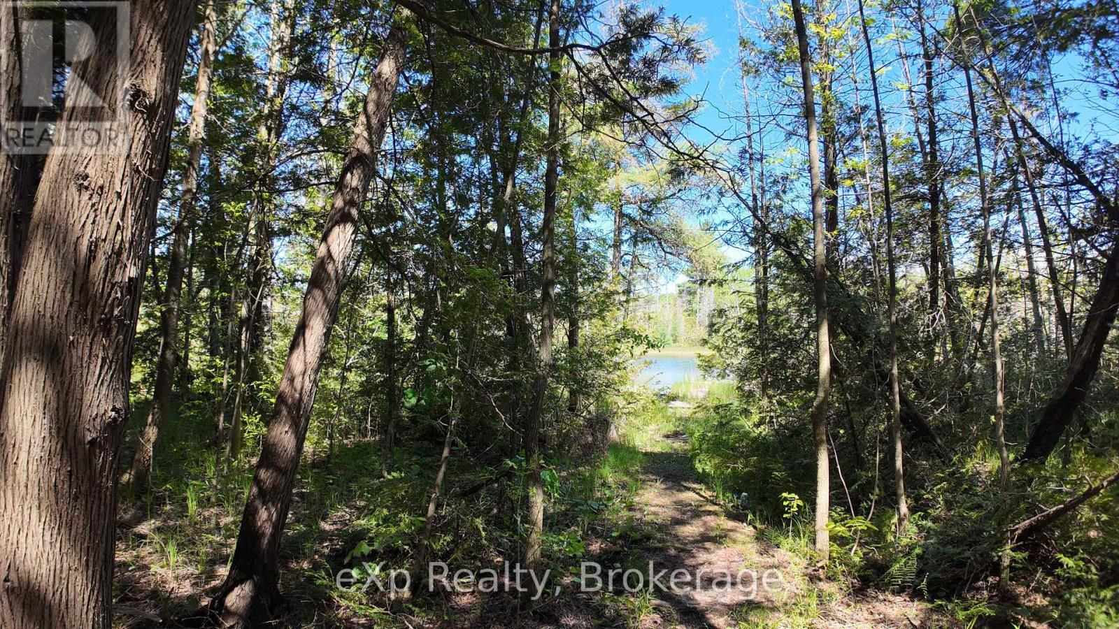 Ptlt 17 Westfall Crescent, West Grey, Ontario  N0G 2J0 - Photo 12 - X12192115