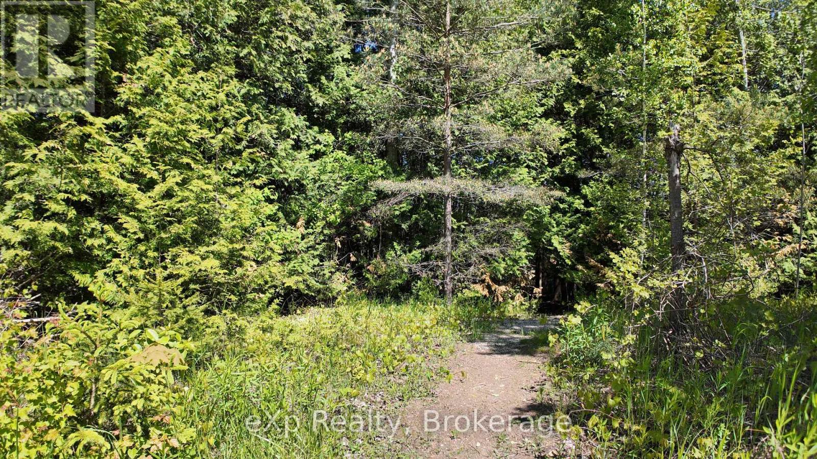 Ptlt 17 Westfall Crescent, West Grey, Ontario  N0G 2J0 - Photo 9 - X12192115