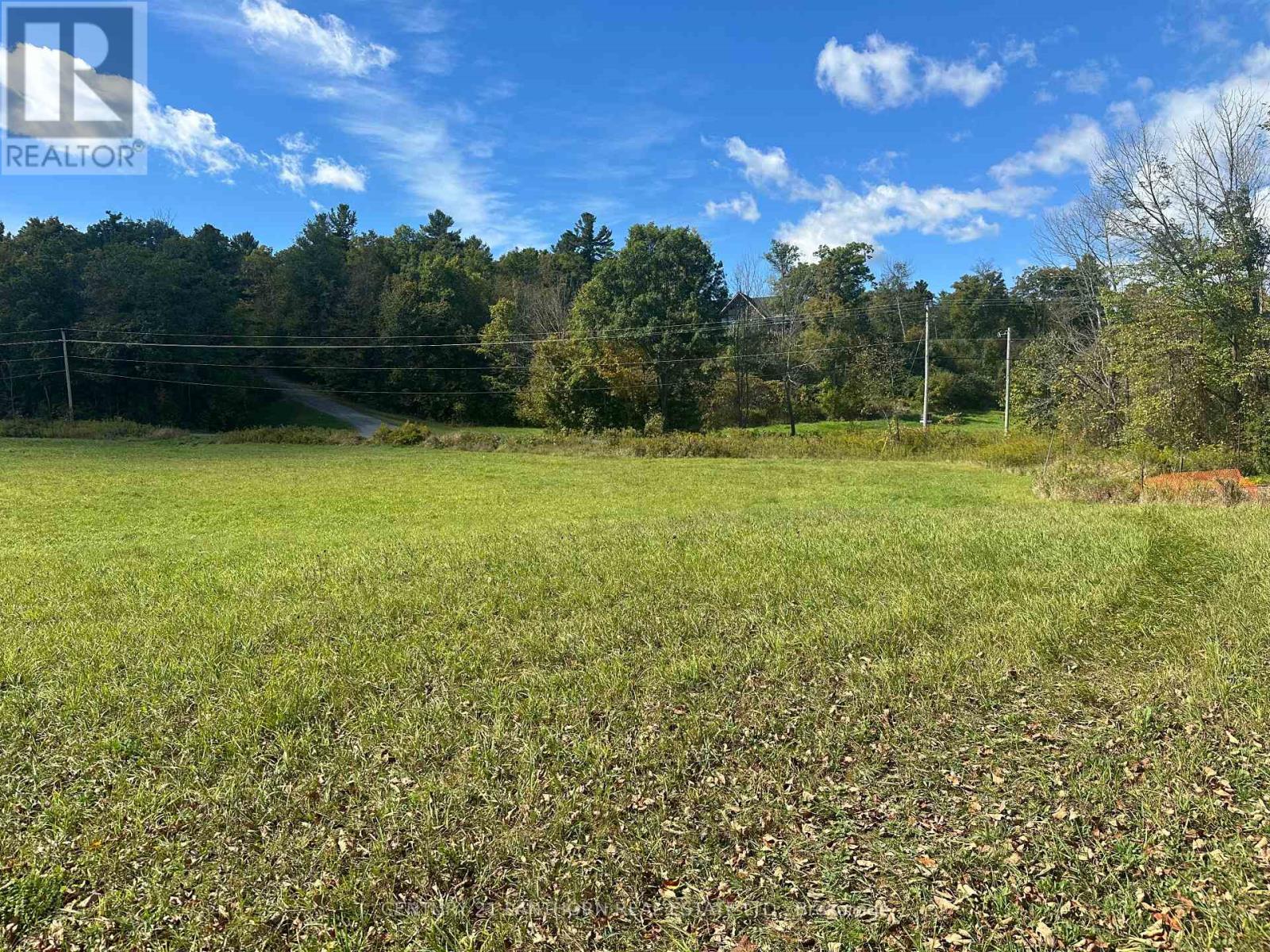 N/a Lahey Road, Centre Hastings, Ontario  K0K 2K0 - Photo 4 - X9369573