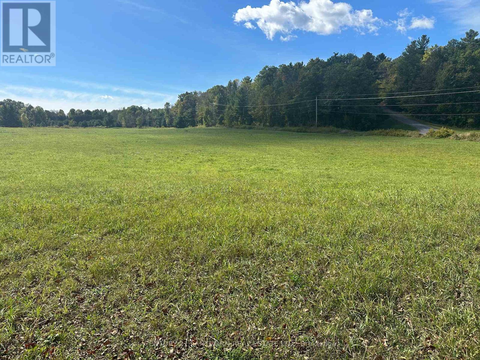 N/a Lahey Road, Centre Hastings, Ontario  K0K 2K0 - Photo 5 - X9369573