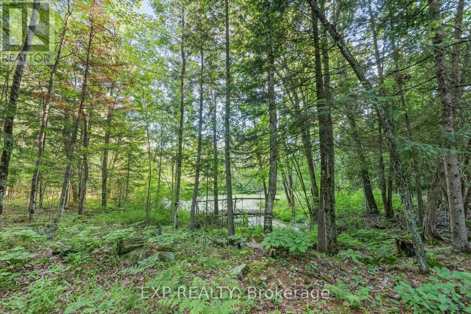 1585 County 46 Road, Havelock-Belmont-Methuen, Ontario  K0L 1Z0 - Photo 47 - X12126159