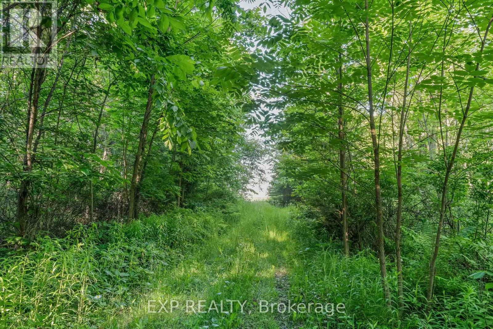 1585 County 46 Road, Havelock-Belmont-Methuen, Ontario  K0L 1Z0 - Photo 46 - X12126159