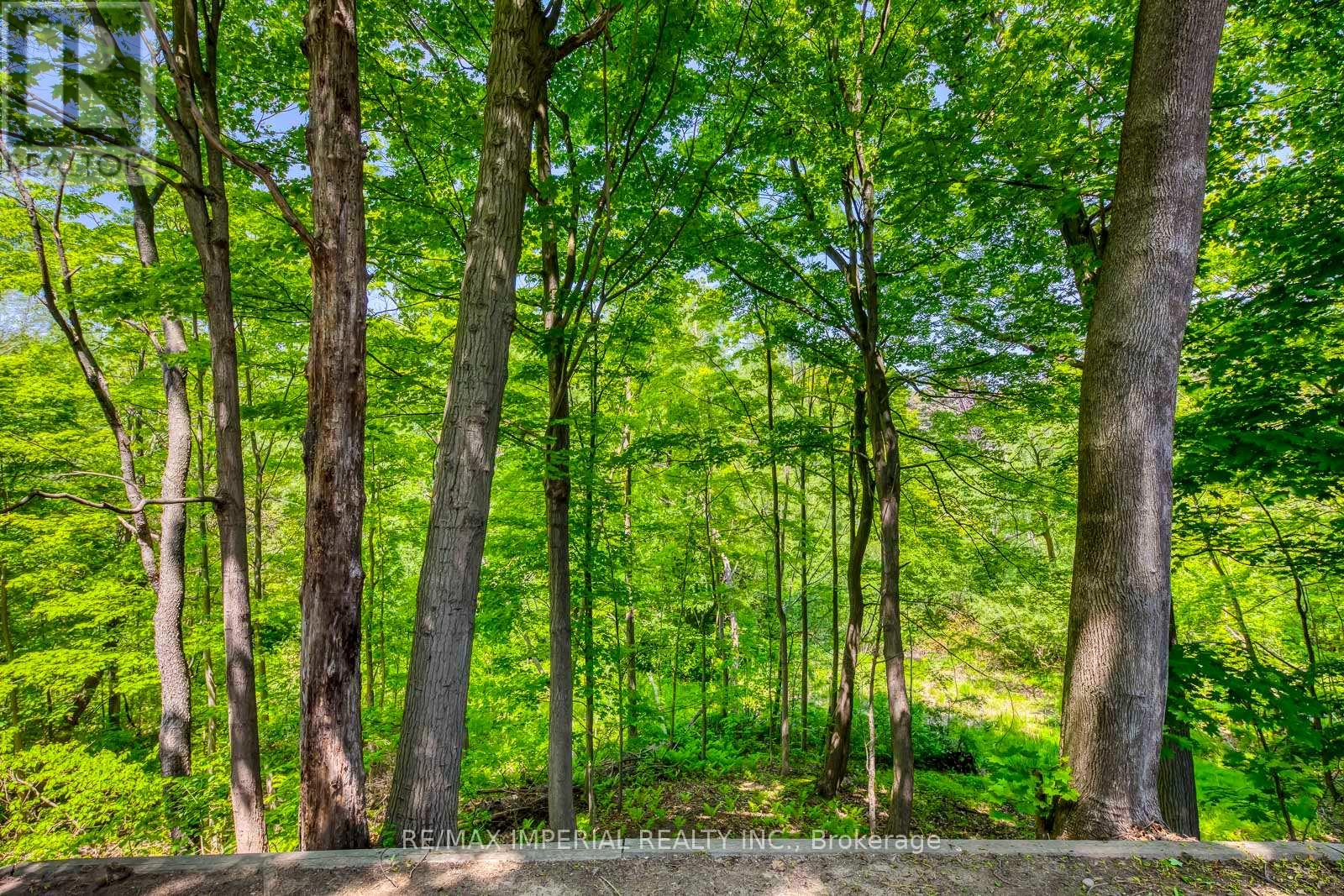 1033 Wenleigh Court, Mississauga, Ontario  L5H 1M7 - Photo 50 - W12190365