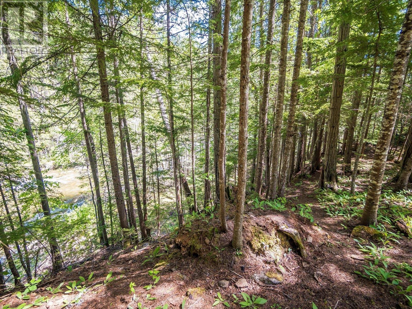 16246 Wadds Road, Crawford Bay, British Columbia  V0B 1E0 - Photo 82 - 10350521
