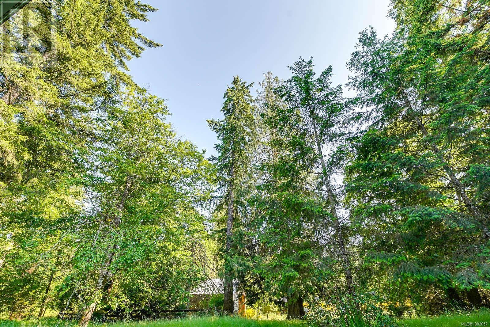 3159 Shawnigan Lake Rd, Shawnigan Lake, British Columbia  V0R 1L6 - Photo 52 - 1002057