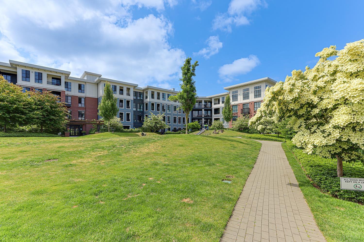 324 15138 34 Avenue, Surrey, British Columbia  V3Z 0Y5 - Photo 24 - R3009509