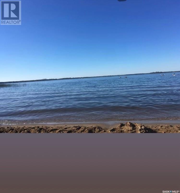 720 Park Drive, Good Lake Rm No. 274, Saskatchewan  S0A 0L0 - Photo 4 - SK008115