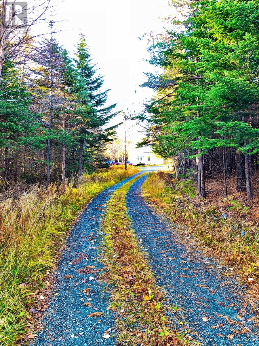 615-621 Old Broad Cove Rd, Portugal Cove-St. Phillips, Newfoundland & Labrador  A1M 1Z9 - Photo 8 - 1273379