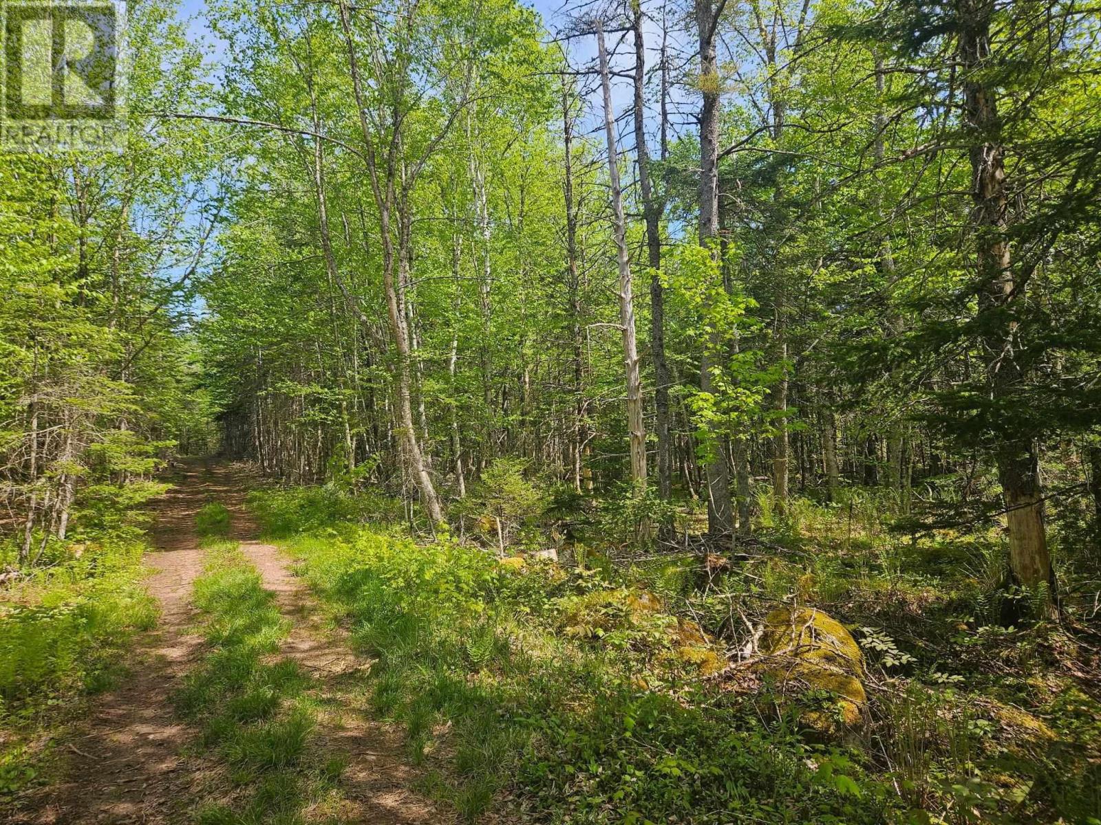 22a Maple Drive, New Russell, Nova Scotia  B0J 2M0 - Photo 1 - 202513277