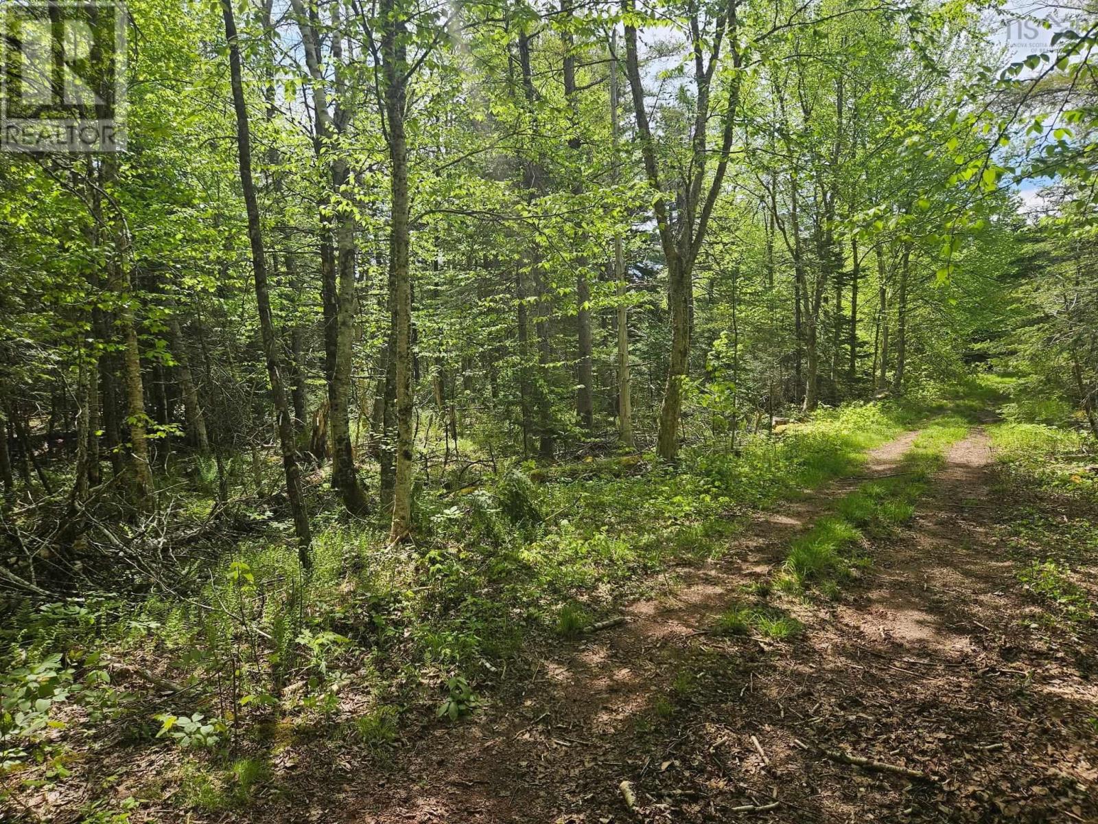 22a Maple Drive, New Russell, Nova Scotia  B0J 2M0 - Photo 2 - 202513277