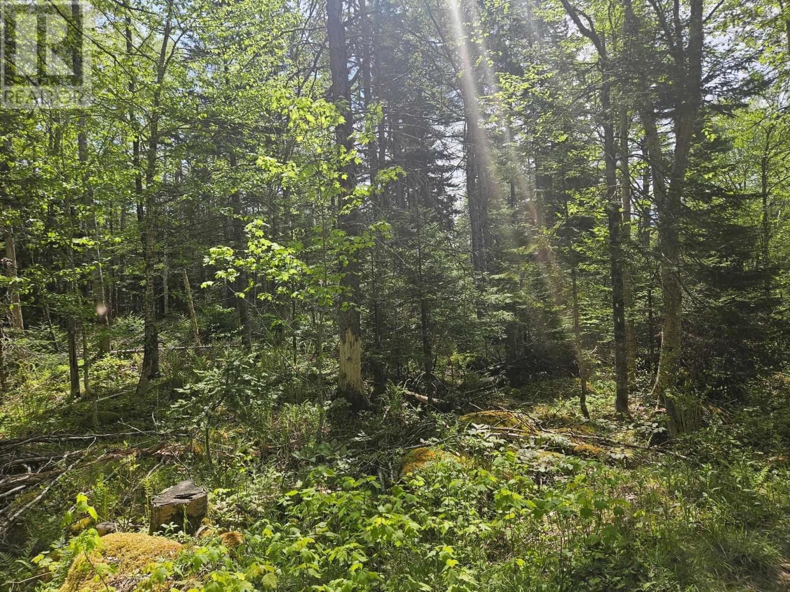 22a Maple Drive, New Russell, Nova Scotia  B0J 2M0 - Photo 3 - 202513277