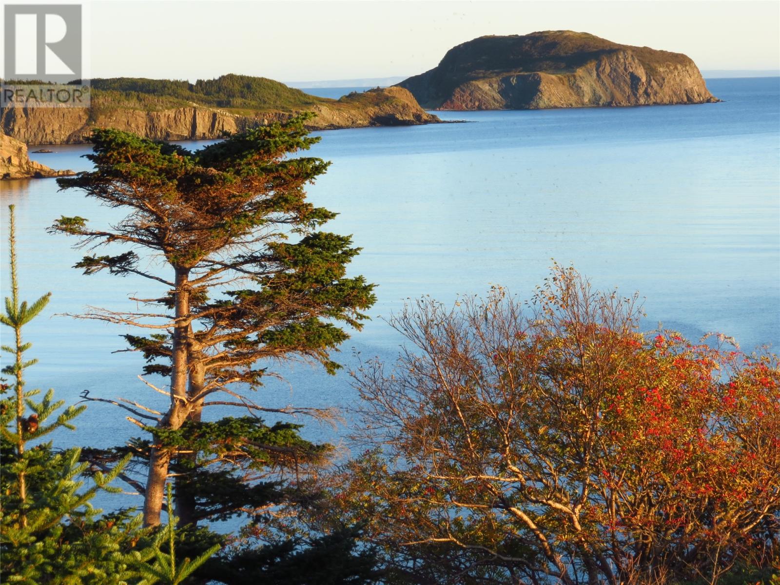 1 Ship Cove Road, Port Rexton, Newfoundland & Labrador  A0C 2H0 - Photo 4 - 1285873