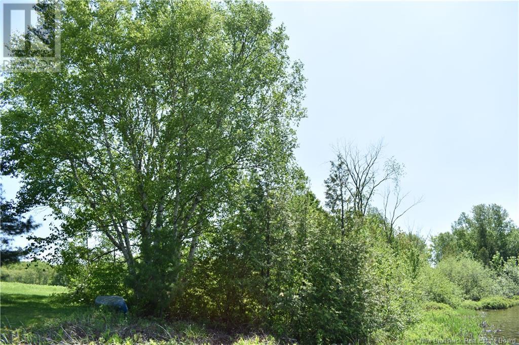 Lot Route 560, Lakeville, New Brunswick  E7K 1T7 - Photo 4 - NB119751