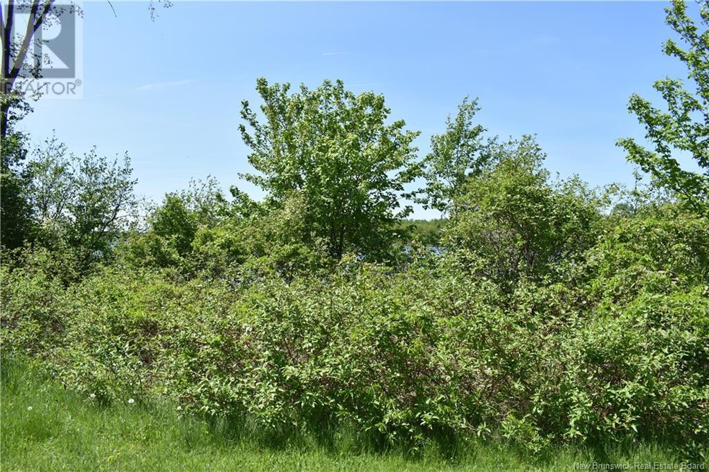 Lot Route 560, Lakeville, New Brunswick  E7K 1T7 - Photo 7 - NB119751