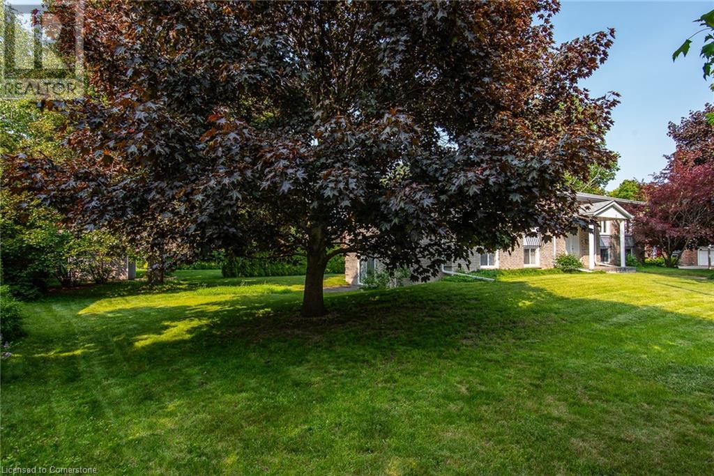 12 Academy Crescent, Waterloo, Ontario  N2L 5H7 - Photo 47 - 40736318
