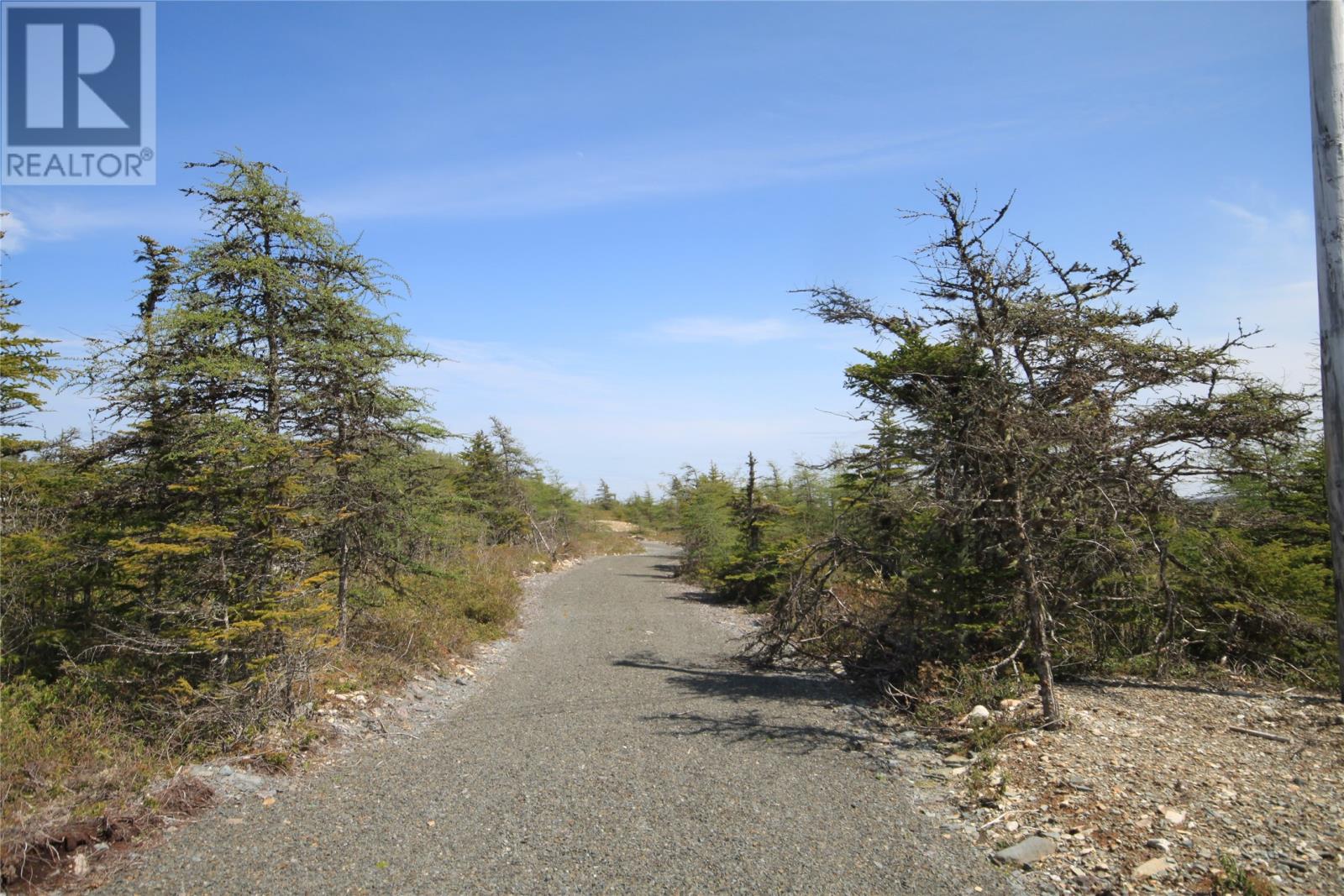 14 Rhodies Pond Grove, Placentia Junction, Newfoundland & Labrador  A0B 3K0 - Photo 4 - 1285924