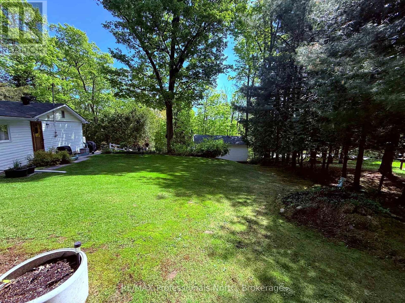 1039 Grace River Road, Highlands East, Ontario  K0L 3C0 - Photo 28 - X12124622