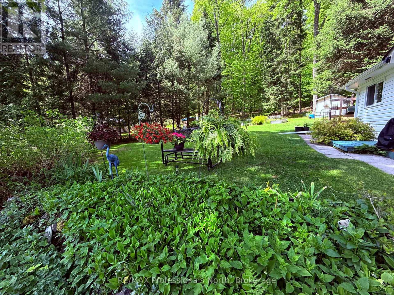 1039 Grace River Road, Highlands East, Ontario  K0L 3C0 - Photo 2 - X12124622