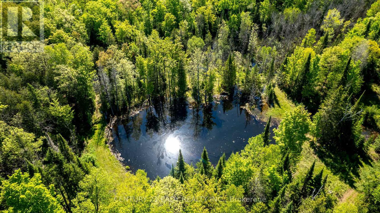 1648 Whelan Road, Admaston/bromley, Ontario  K7V 3Z7 - Photo 3 - X12192991