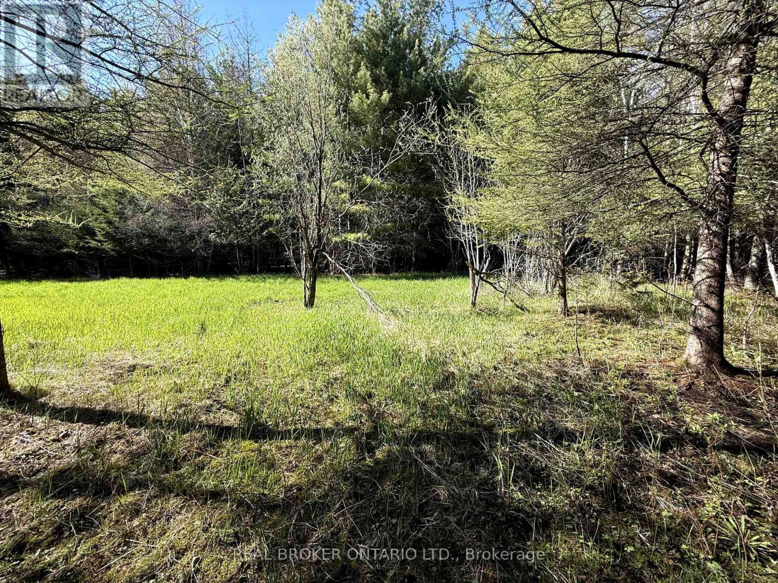 Lot 3 Watsons Corners Road, Lanark Highlands, Ontario  K0G 1K0 - Photo 3 - X12145431