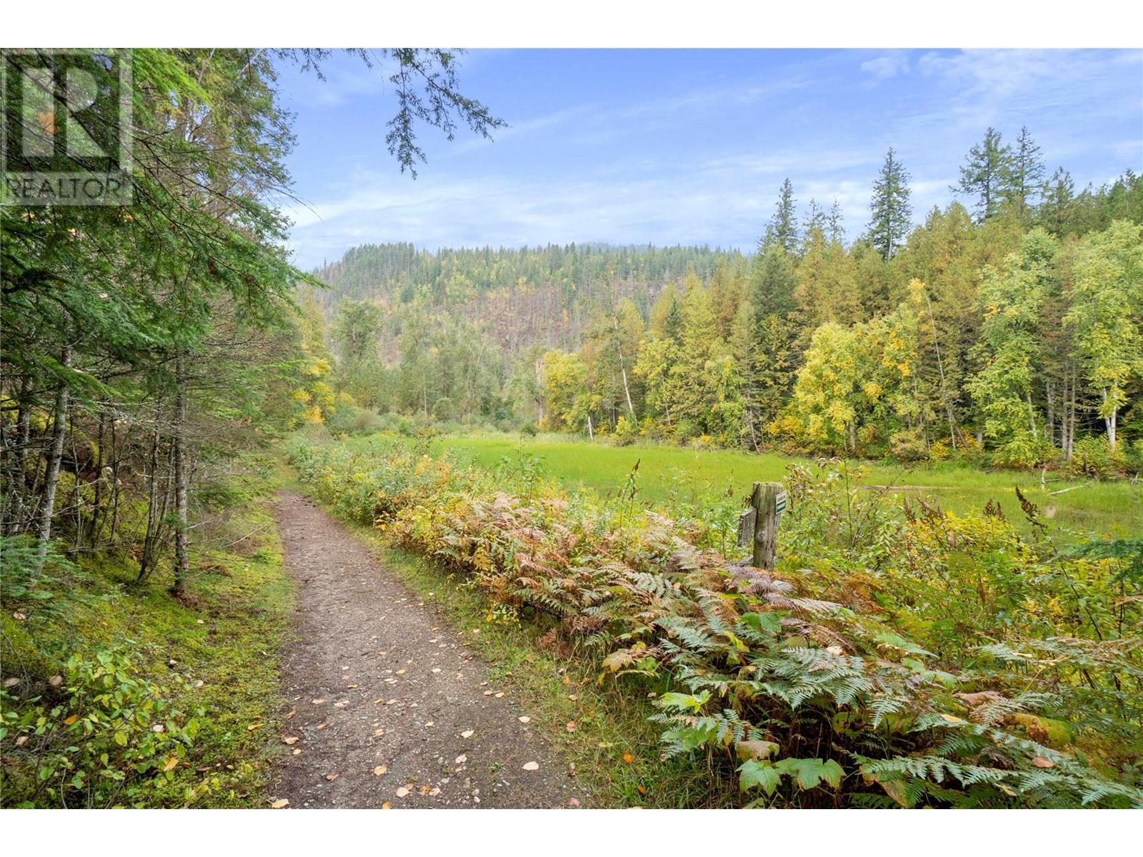 3499 Luoma Road Unit# 36, Malakwa, British Columbia  V0E 2J0 - Photo 27 - 10336242