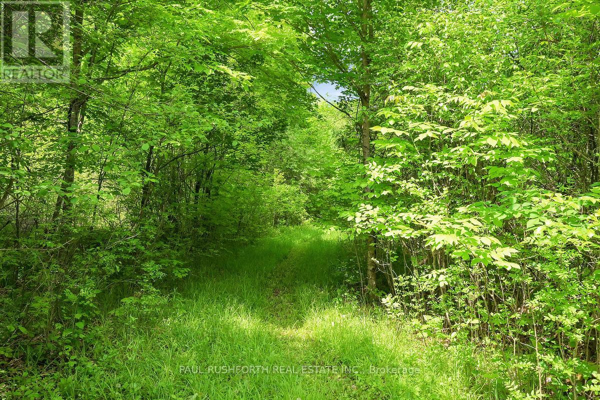 1648 Ramsay 3a Concession, Mississippi Mills, Ontario  K0A 1A0 - Photo 36 - X12192783