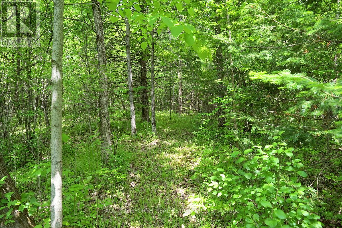 1648 Ramsay 3a Concession, Mississippi Mills, Ontario  K0A 1A0 - Photo 37 - X12192783