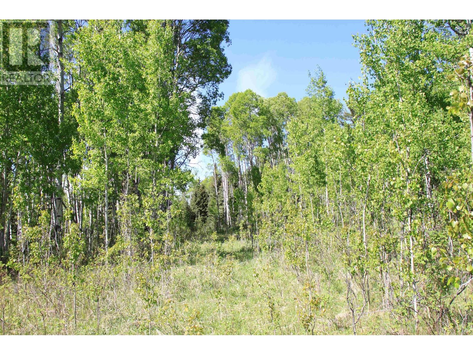 Prop Lot-18 Brown Road, Bridge Lake, British Columbia  V0K 1E0 - Photo 28 - R3009884