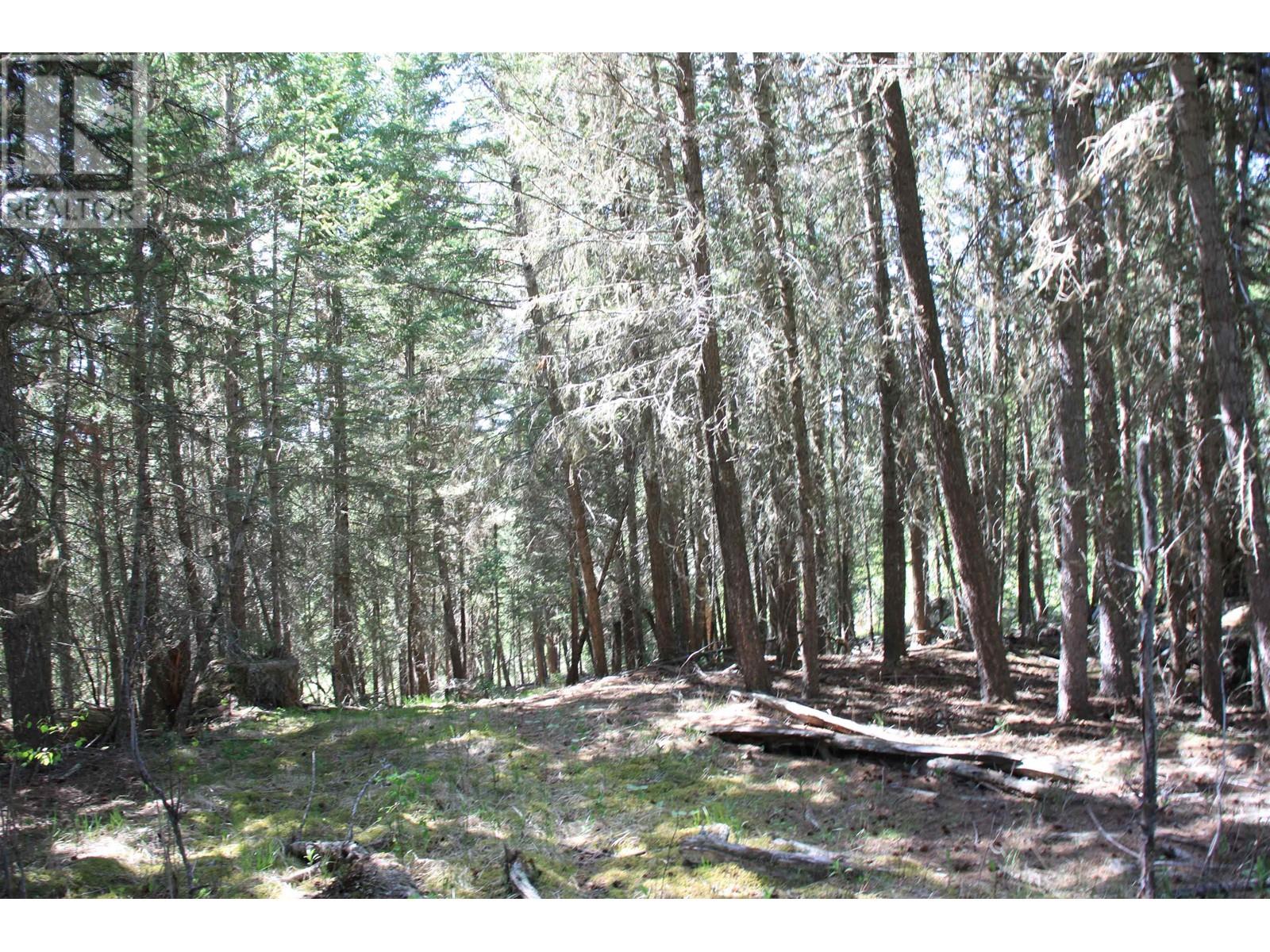 Prop Lot-18 Brown Road, Bridge Lake, British Columbia  V0K 1E0 - Photo 20 - R3009884