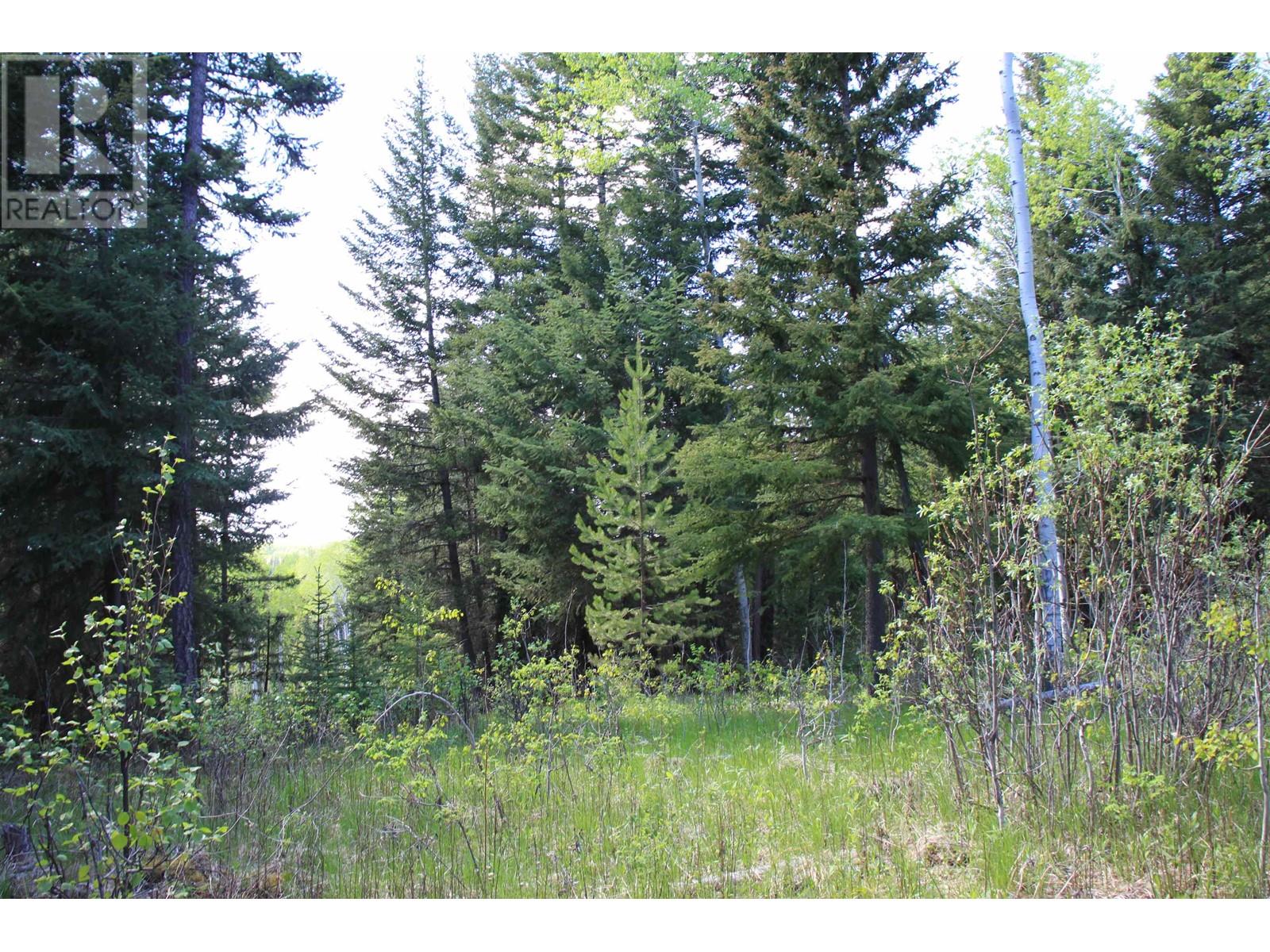 Prop Lot-18 Brown Road, Bridge Lake, British Columbia  V0K 1E0 - Photo 17 - R3009884